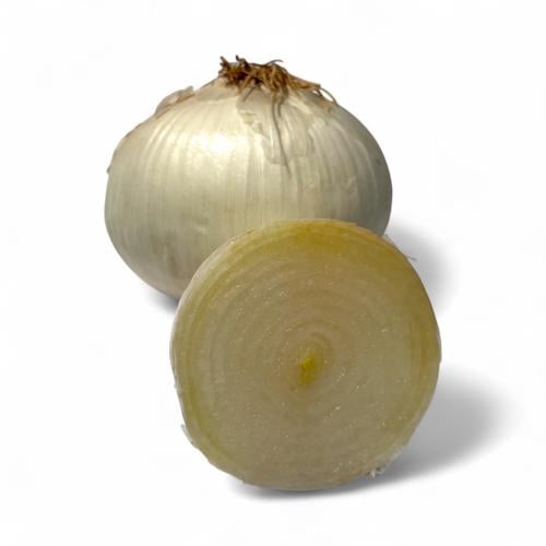 بصل ابيض كيلو