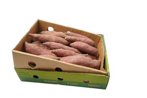 بطاطا حلوه كرتون