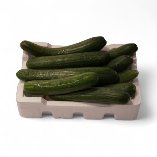 خيار فلين صغير