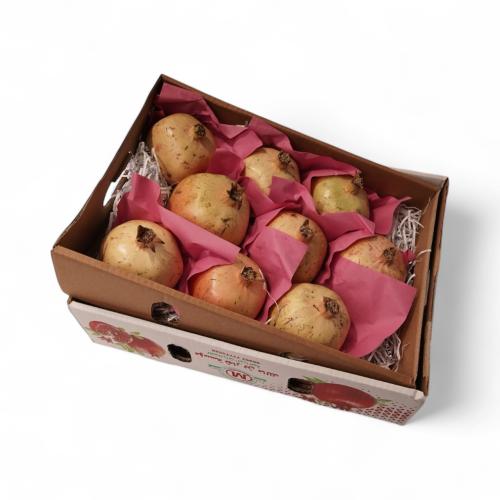 رمان يمني كرتون وسط