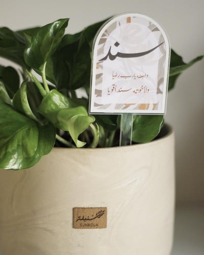 تغريسة نبات اكريليك - حجم صغير