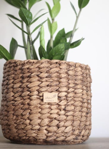 نبات طبيعي في إناء من الخزف لون بني - حجم كبير