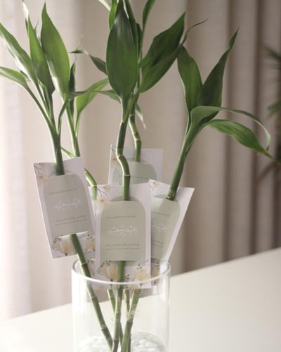 توزيعات ساق البامبو مع كرت إهداء