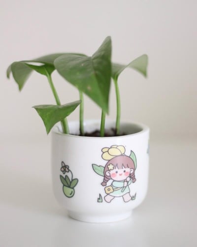 ميني بوتس بأصيص سيراميك أبيض مع ملصقات شخصيات