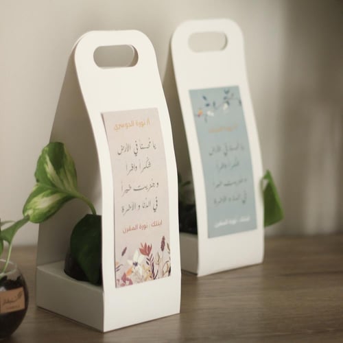 نبات بوتس طبيعي في إناء زجاجي - حجم صغير