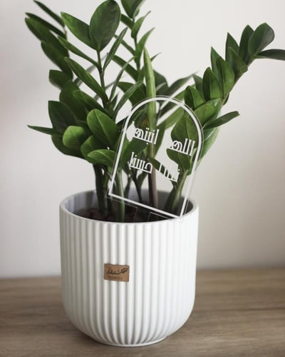 تغريسة اكريلك بعبارة تهنئة للنباتات