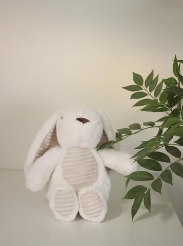 هدية مولود بسلة أنيقة