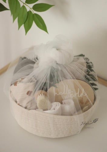 هدية مواليد دب هزاز مع سلة ملابس و مستلزمات الطفل