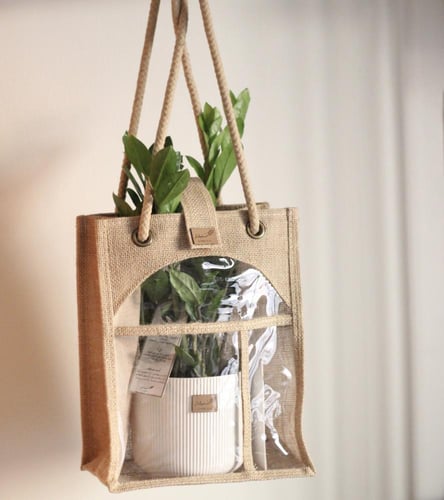 نبات طبيعي في إناء سيراميك أصفر - حجم متوسط