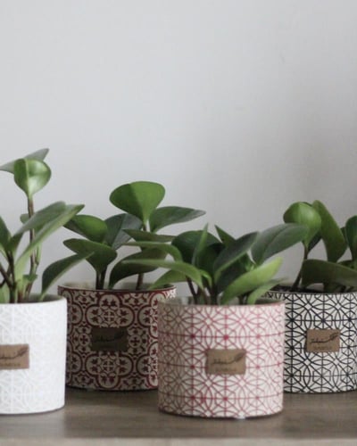 إهداء رمضاني - أصيص زخارف إسلامية