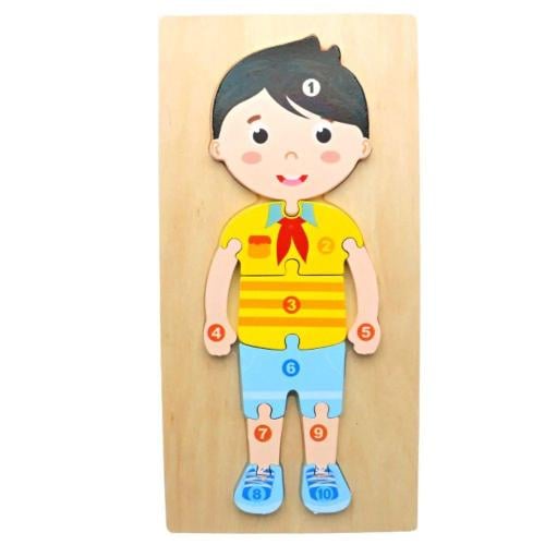 بزل خشبي تركيب أجزاء الجسم