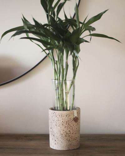 ساق البامبو في حوض حجري أنيق - مجموعة البترا