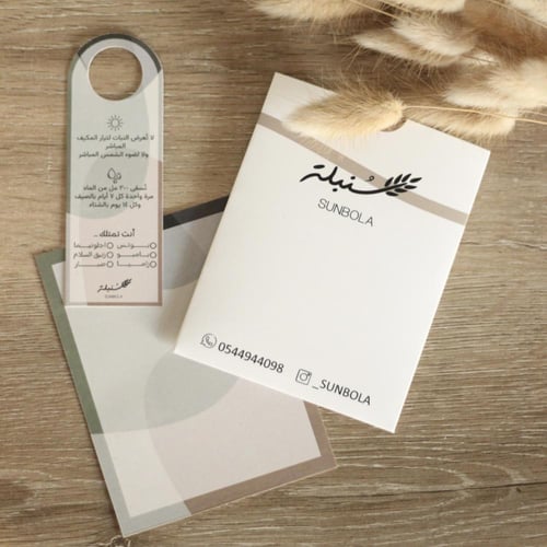 نبات طبيعي في إناء مصنوع من الأعشاب البحرية و القم...