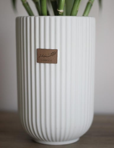 إناء سيراميك ساق البامبو - 12 ساق