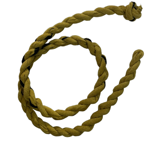 قيد الابل
