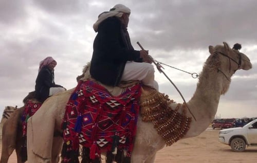 خرج للابل قماش سدو