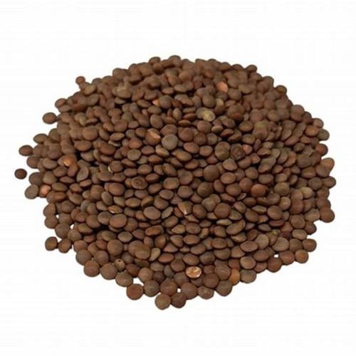 عدس اسود شد _15 كيلو