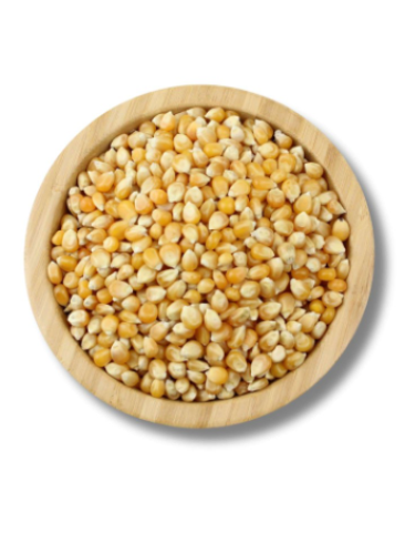 فشار امريكي