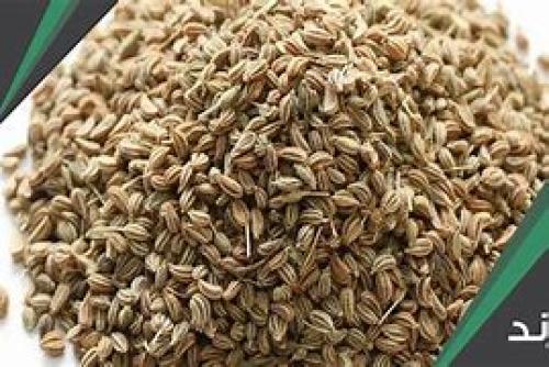 نخوة هندي شد _ 10 كيلو