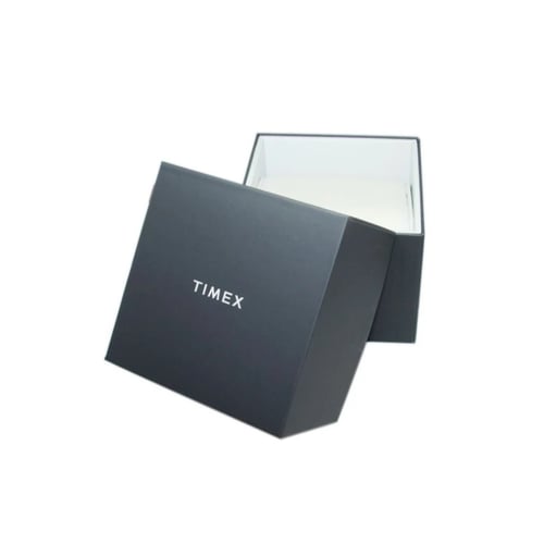 ساعة تايمكس ستاندرد كوارتز رجالية - TW2V44000