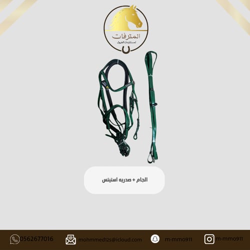 The jacket includes the chest, green status