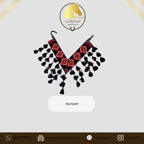 Beautiful bra for horses
