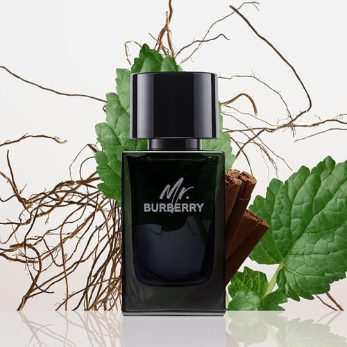 عطر مستر بربري للرجال أو دي بارفيوم - 50 مل