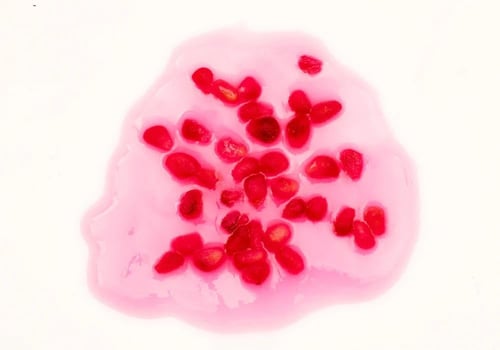 سيروم ⁺NAD لمكافحة الشيخوخة والتجاعيد من ايكوال بي...