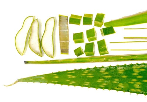 سيروم الألوفيرا المهدئ والمجدد من ايكوال بيري - 30...