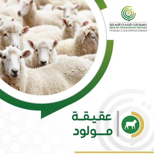 عقيقه مولود