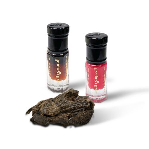 عرض العمودي الجديد