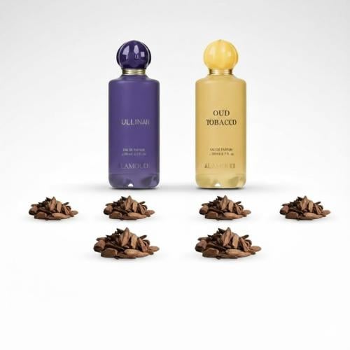 عرض مرتضى السلمان الخاص