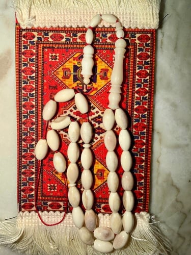عضم جمل 🐫