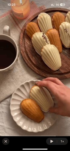 قوالب كيك المادلين