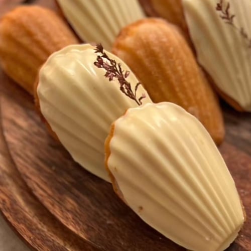 قوالب كيك المادلين