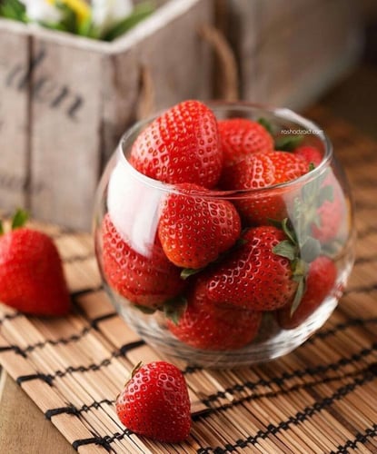 فازات زجاج دائري للتوزيعات 192 مل