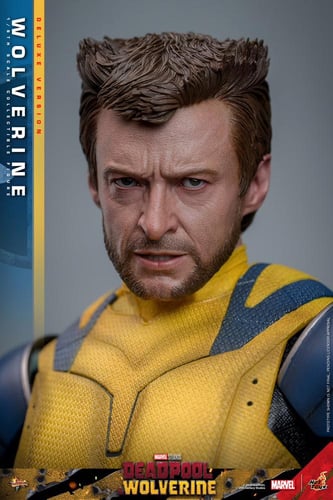 Hot Toys MMS754 Deadpool and Wolverine - Wolverine...