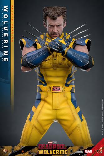 Hot Toys MMS754 Deadpool and Wolverine - Wolverine...
