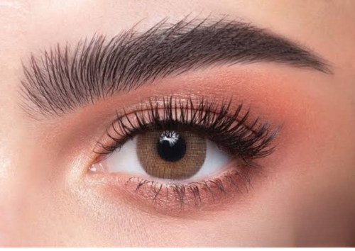 عدسات ذهب يومية CAT EYE 14