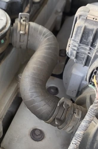 هوز تبخير + 2 قفيز اصلي وكاله شانجان هنتر