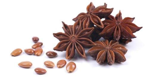 نجمة الينسون