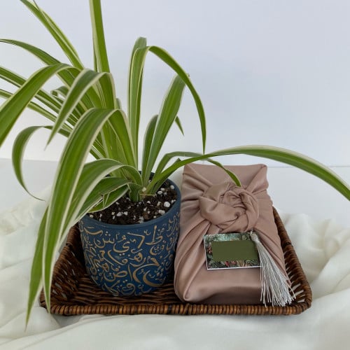 مجموعة المبخرة