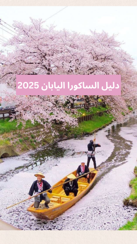 دليل الساكورا 2025