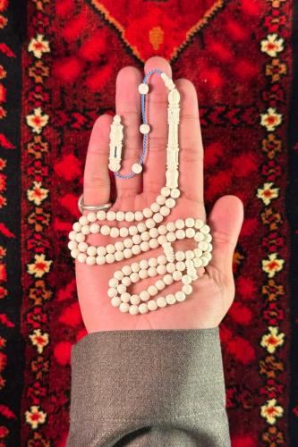 عظم جمل - تمليكة