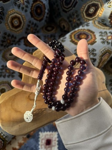 زعفران - حرباء