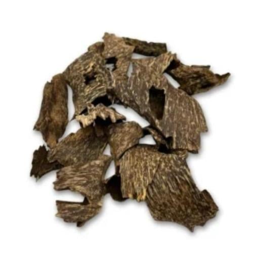 عود كينام الطبيعي