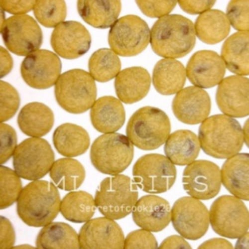 دورة كوكي بايتس مع كتاب نييورك ترند مجانا