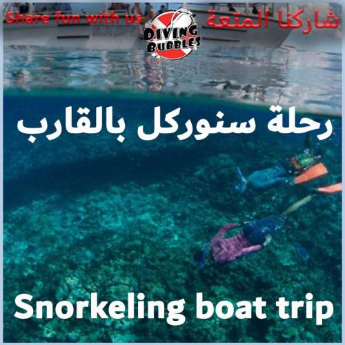 رحلة سنوركل بالقارب