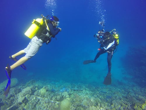 رحلة غوص الفصمة يوم السبت