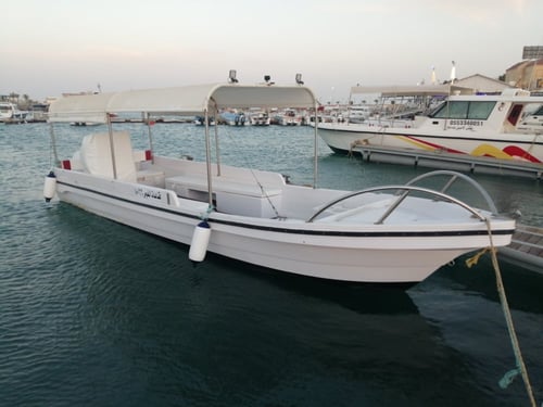 رحلة خاصه غوص بالقارب 2 اشخاص